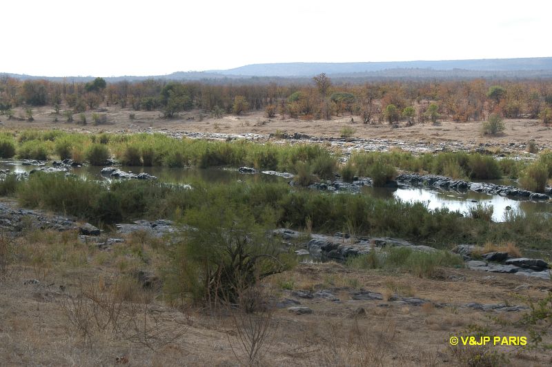 Kruger: Engelhard Dam