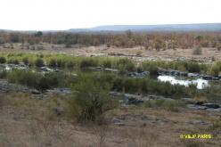 Kruger : Engelhard Dam