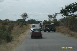Kruger : Route de Skukuza  Malelane