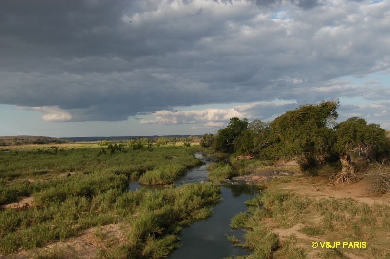 Kruger: Olifants River