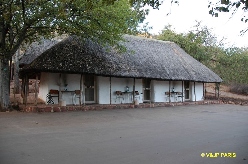 Kruger: Punda Maria Rest Camp and around