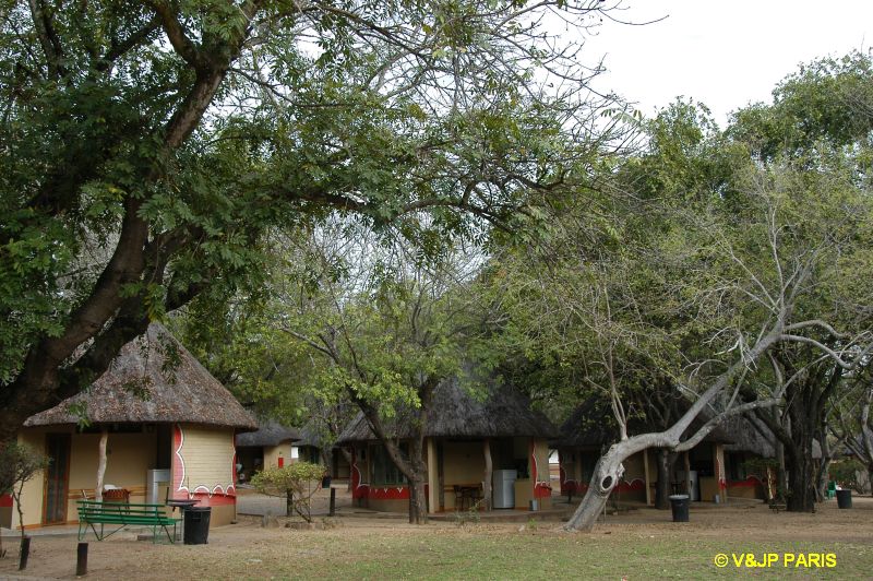 Kruger: Skukuza Rest Camp