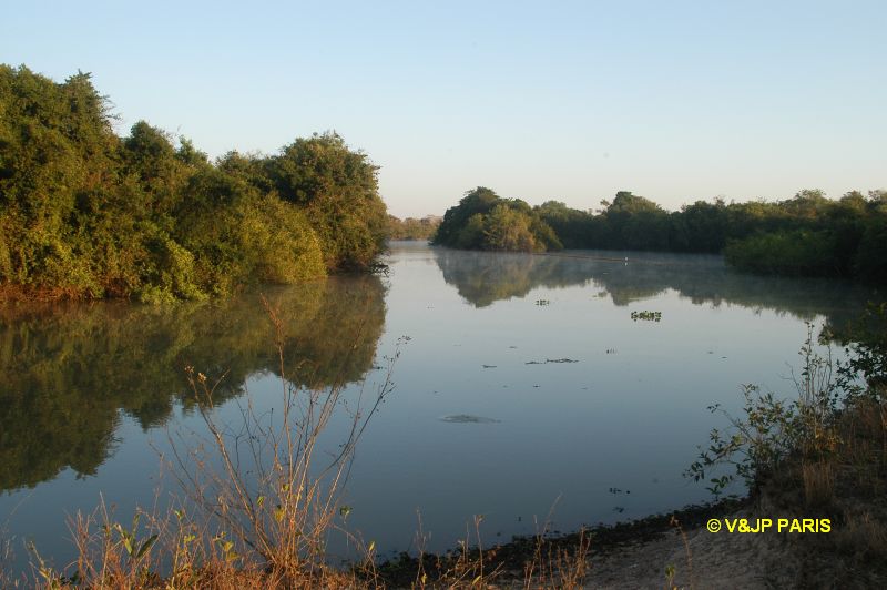 Pantanal, Fazenda Santa Tereza
