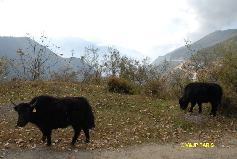 Ancienne route de Erlang, Sichuan