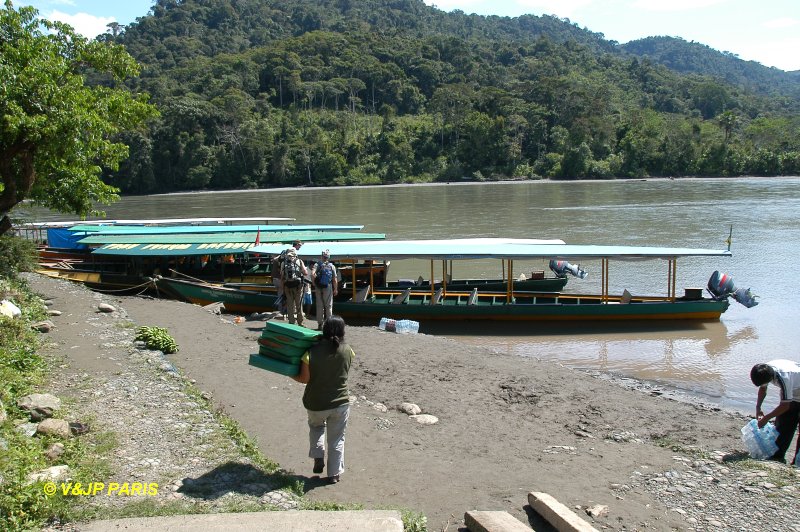 Manu NP, Amazonian Lodge