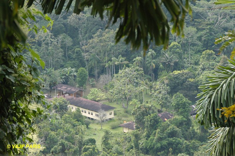 Amazonian Lodge, Manu NP