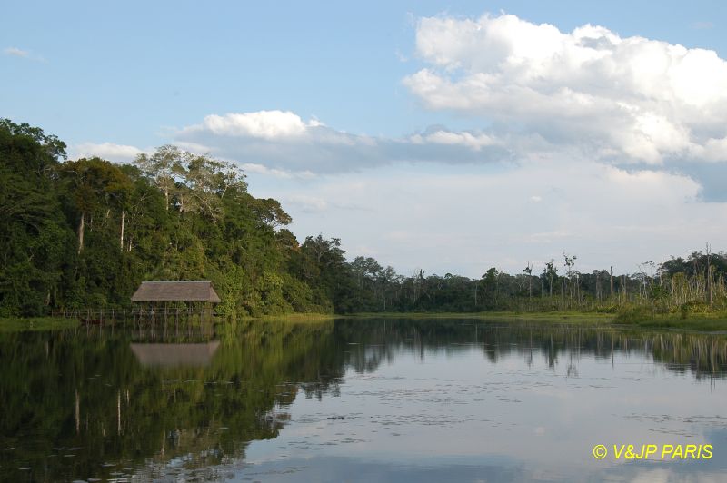 Lake near Manu NP